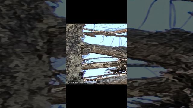 1000027749.mp4 смотреть онлайн