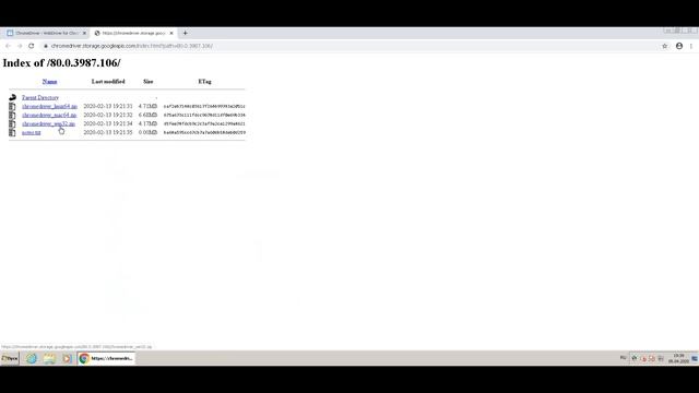 Где скачать и как установить актуальную версию chromedriver смотреть онлайн