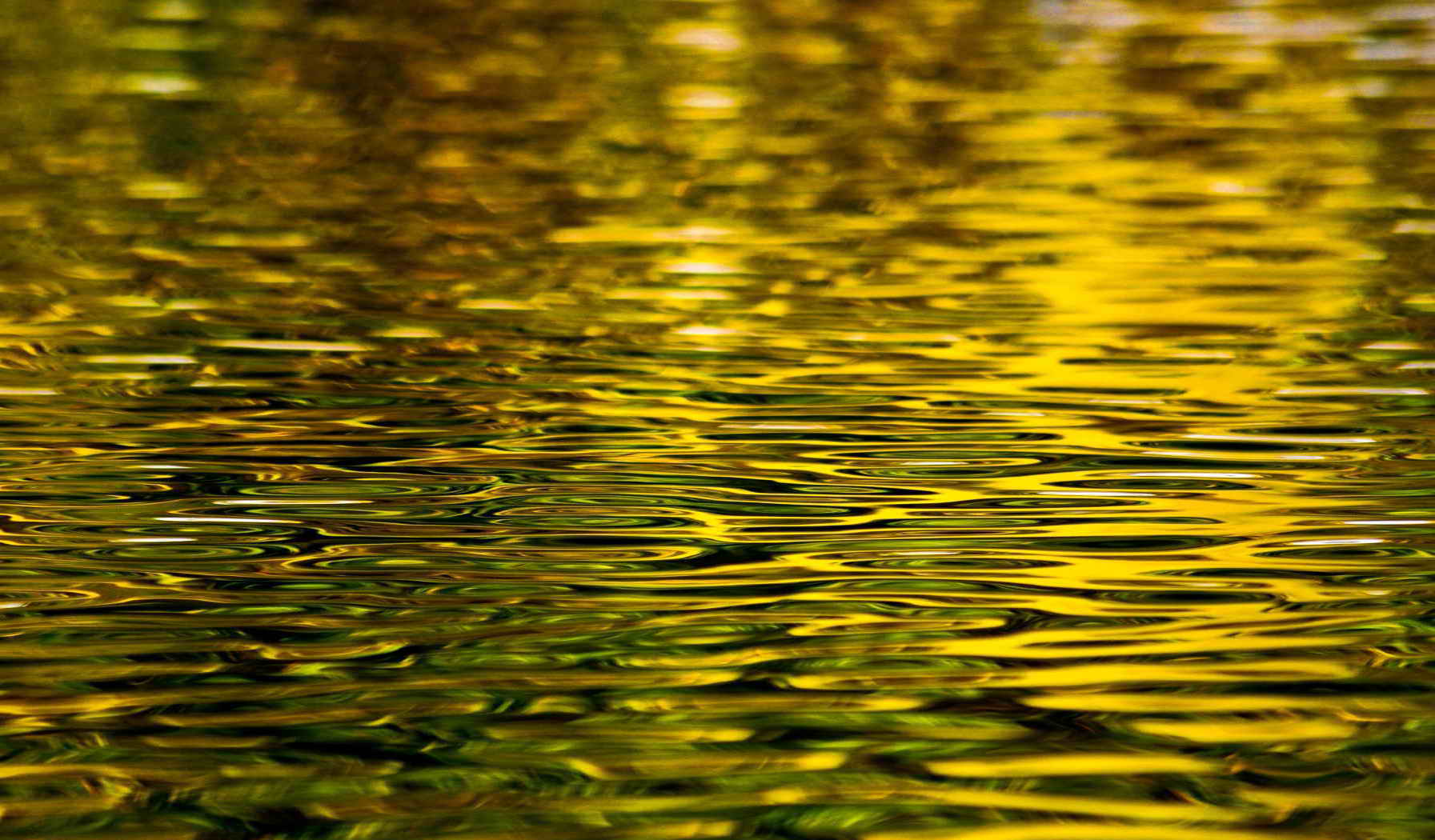 Блики на воде