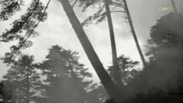 Юрий Визбор - Река Енисей смотреть онлайн