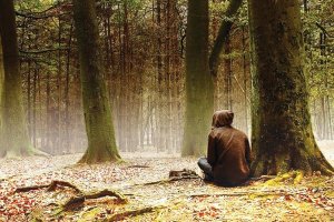 " НЕСЧАСТЬЕ В ЛЕСУ " Мистическая история