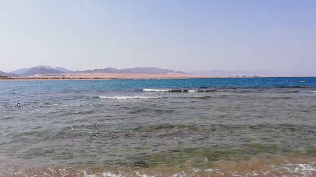 Barcelo Tiran Sharm 5* Пляж. Египет, Шарм-Эль-Шейх. Сентябрь 2018 г. #2 смотреть онлайн