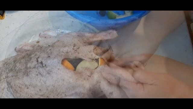 Вкусные рецепты запечённой утки