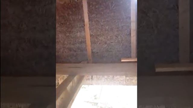 Монолитный арболит. Балки перекрытия. смотреть онлайн