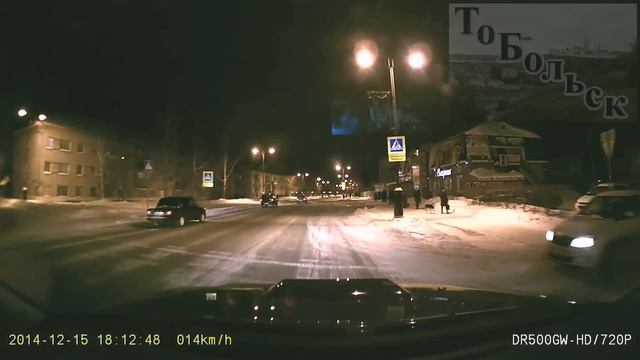 Собаки на пешеходном переходе (ч.3) + бонус в конце смотреть онлайн