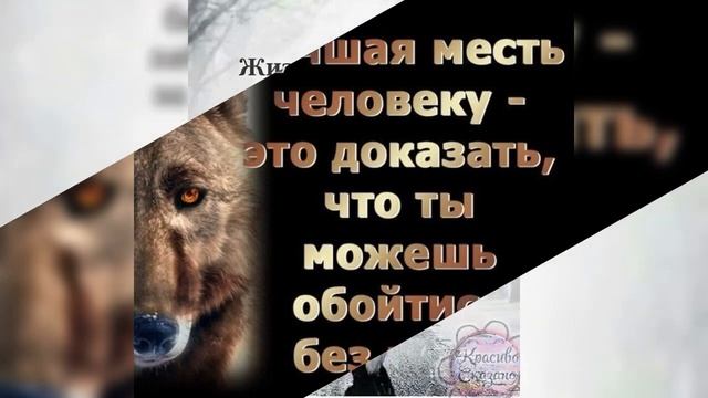 Человек с добрым сердцем всегда чяжёлая судьба. смотреть онлайн