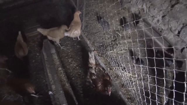 На хозяйстве! На дворе! смотреть онлайн