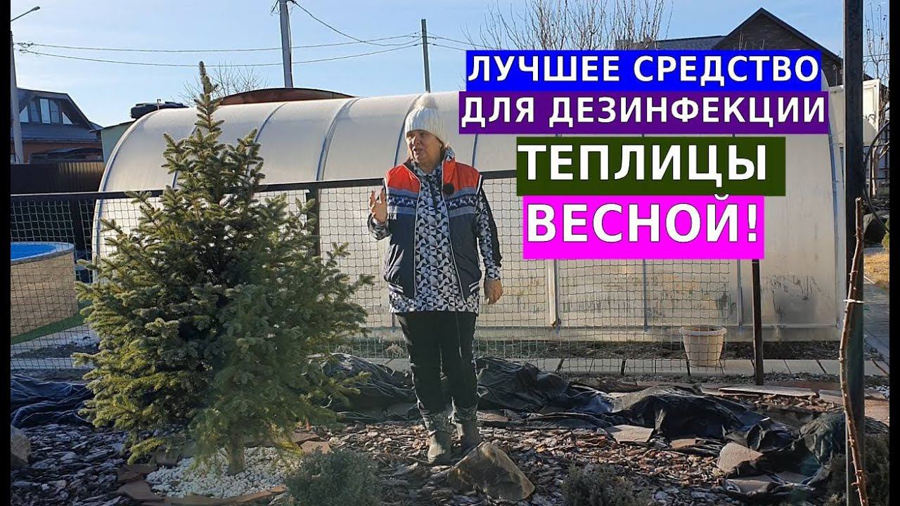 Лучшее средство для дезинфекции теплицы весной смотреть онлайн