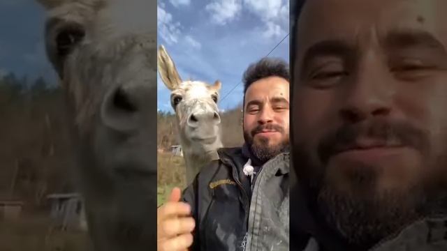 Вкусная морковка.mp4 смотреть онлайн