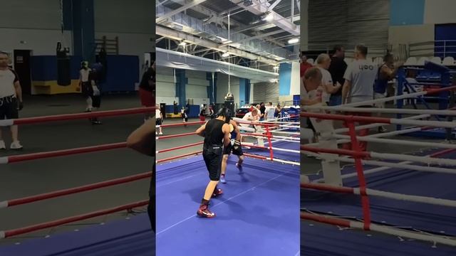 #бокс #спорт #спарринги #бой #жизнь #шиповский смотреть онлайн