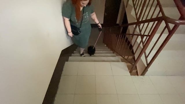 ДНЕВНИК ПОХУДЕНИЯ/ДЕНЬ С НАМИ НА 900 ККАЛ/ПОКУПКИ В ФИКС ПРАЙС/НОВОЕ ПЛАТЬЕ смотреть онлайн