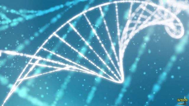 Молитва из эфира: Сотворяя жизнь @Nebesnayacivilizacia смотреть онлайн