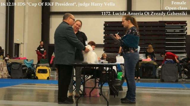 2018 12 16 Maltese Female Open смотреть онлайн