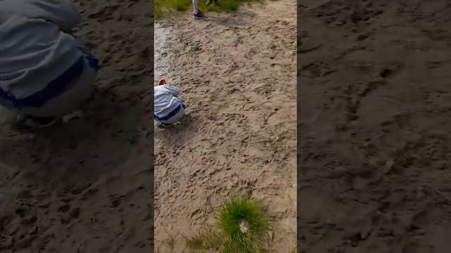 нашли водоём недалеко от дома, где живём... водичка чистая, песочный пляж, людей не было, но пришли