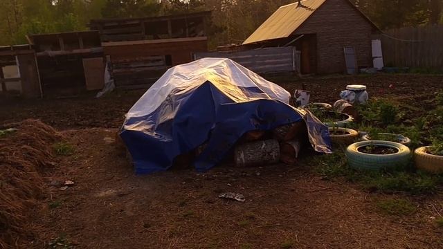 Красивая радуга. Снова дождик на Урале. Высаживаю перцы в теплицу.. смотреть онлайн