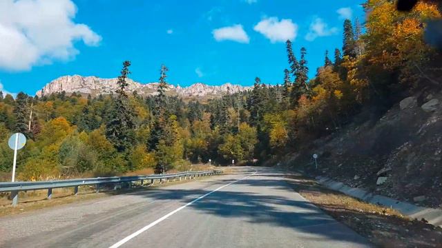 Яворова поляна смотреть онлайн