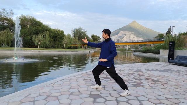 4 Forma 10 completa con Gallo y Patada simplificados: con Pie Apoyado смотреть онлайн