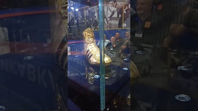 Золотая борцовка Арсена Фадзаева смотреть онлайн