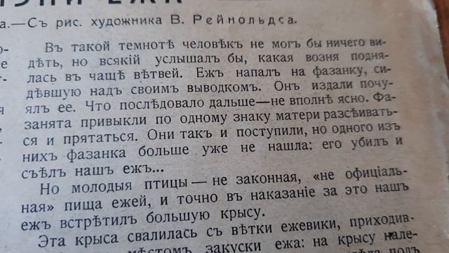 из жизни ежа ЧАСТЬ 1 ПРИРОДА И ЛЮДИ за 1913 год ФАУНА Tatar Cinema International смотреть онлайн