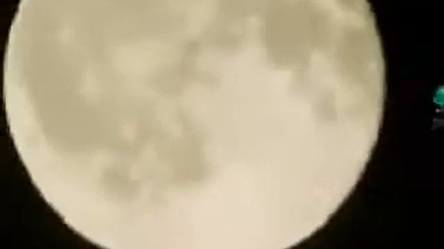Вокалоиды(5) смотреть онлайн