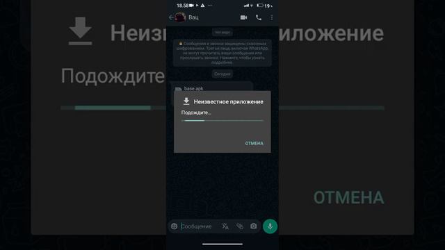 как скачать видео в тик ток смотреть онлайн