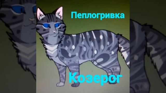 Кто ты по знаку зодиака из котов воителей (читаем описания) смотреть онлайн