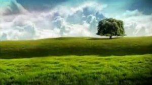 Оркестр Поля Мориа Одинокий пастух avi