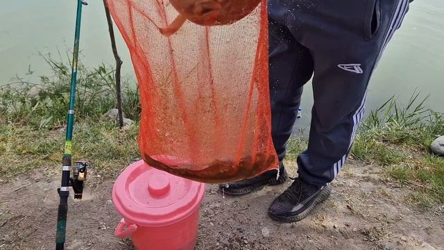 РЫБАЛКА//СЕМЕЙНЫЙ ОТДЫХ на ПРИРОДЕ @ranokamolova