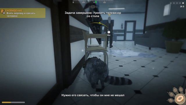 Я ЕНОТ 🦝 смотреть онлайн