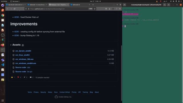 selenoid - Webdriver Selenium - Selenium Docker смотреть онлайн