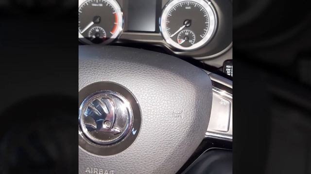 Стоимость владения за год Skoda Octavia A7 FL смотреть онлайн
