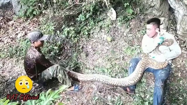 Python Handler become victim to snake attack | смотреть онлайн