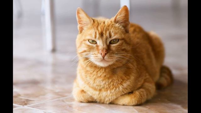 30 августа / Бог любит нас смотреть онлайн