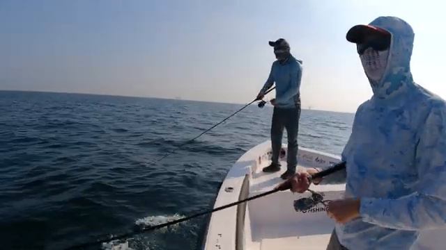 Кинг Фишь в кастинг и Группер на живца в Абу Даби смотреть онлайн