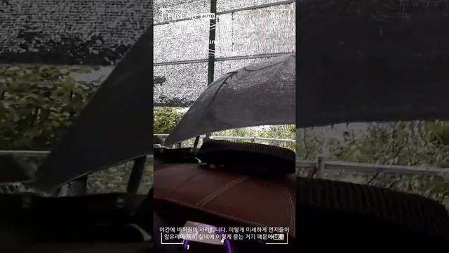 (4분꿀팁) 초보오너표, 여름철 초간단 셀프세차 꿀팁(koleos, self car wash tip)(내돈내산) смотреть онлайн