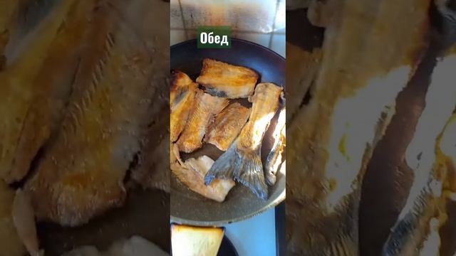 # Обед # Хребты и брюшки # Горбуша? смотреть онлайн