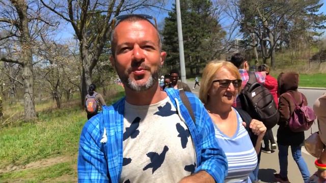 Сакура в Торонто ? Цветение Сакуры в High Park ?? Жизнь в Канаде ВЛОГ ?? VLOG TravelTime смотреть онлайн