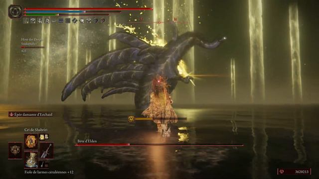 Seamless coop Elden Beast with Snakenalyz смотреть онлайн