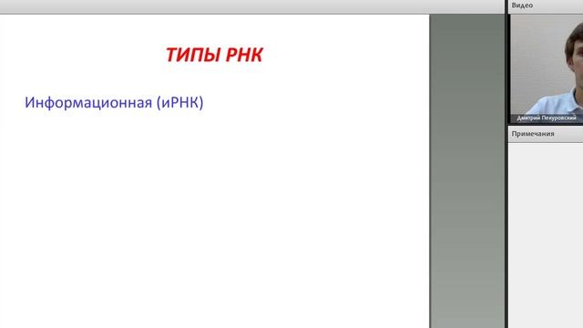 Основы ДНК и РНК смотреть онлайн