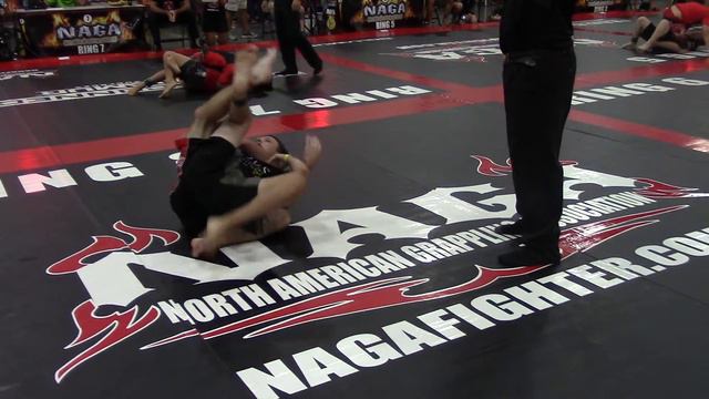 Harrison Gibson (Reckless) with Ludus Martial Arts winning another jiu jitsu expert tournament смотреть онлайн