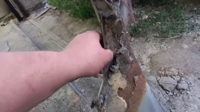 Как отремонтировать крыло ниссан смотреть онлайн