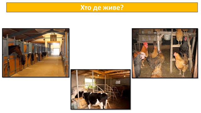 Як дикі тварини стали свійськими? ЯДС. 3клас. Візняк А.В. смотреть онлайн