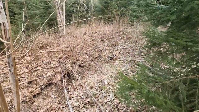 Лес 42 Неровка. Траншея Т34 Б. 9 апреля 2023 года смотреть онлайн