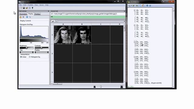 Vision Spreadsheet Python Client смотреть онлайн