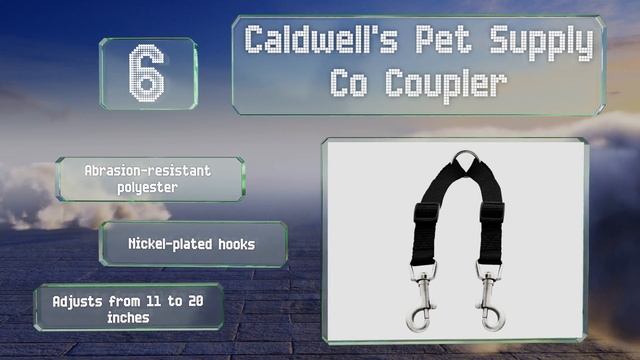 10 Best Double Leashes 2020 смотреть онлайн