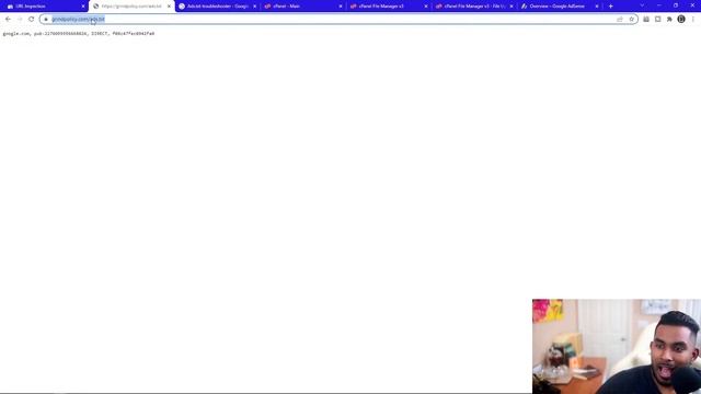 Fix ADS.TXT in WordPress смотреть онлайн