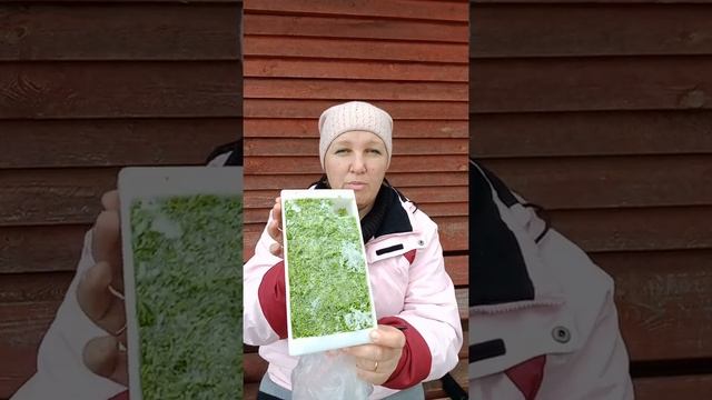 Хранение чеснока ? до следующего сезона 100%