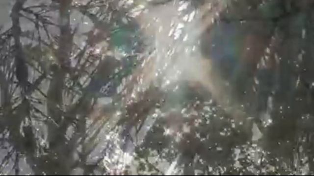 Cлучилось что? Весна очередная! смотреть онлайн