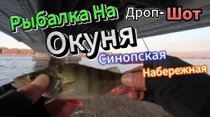 ЛОВИМ ОКУНЯ ДРОПШОТ СПБ СИНОПСКАЯ НАБЕРЕЖНАЯ