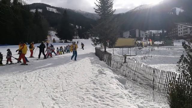 Бад Кляйнкирхайм детская лыжная школа смотреть онлайн